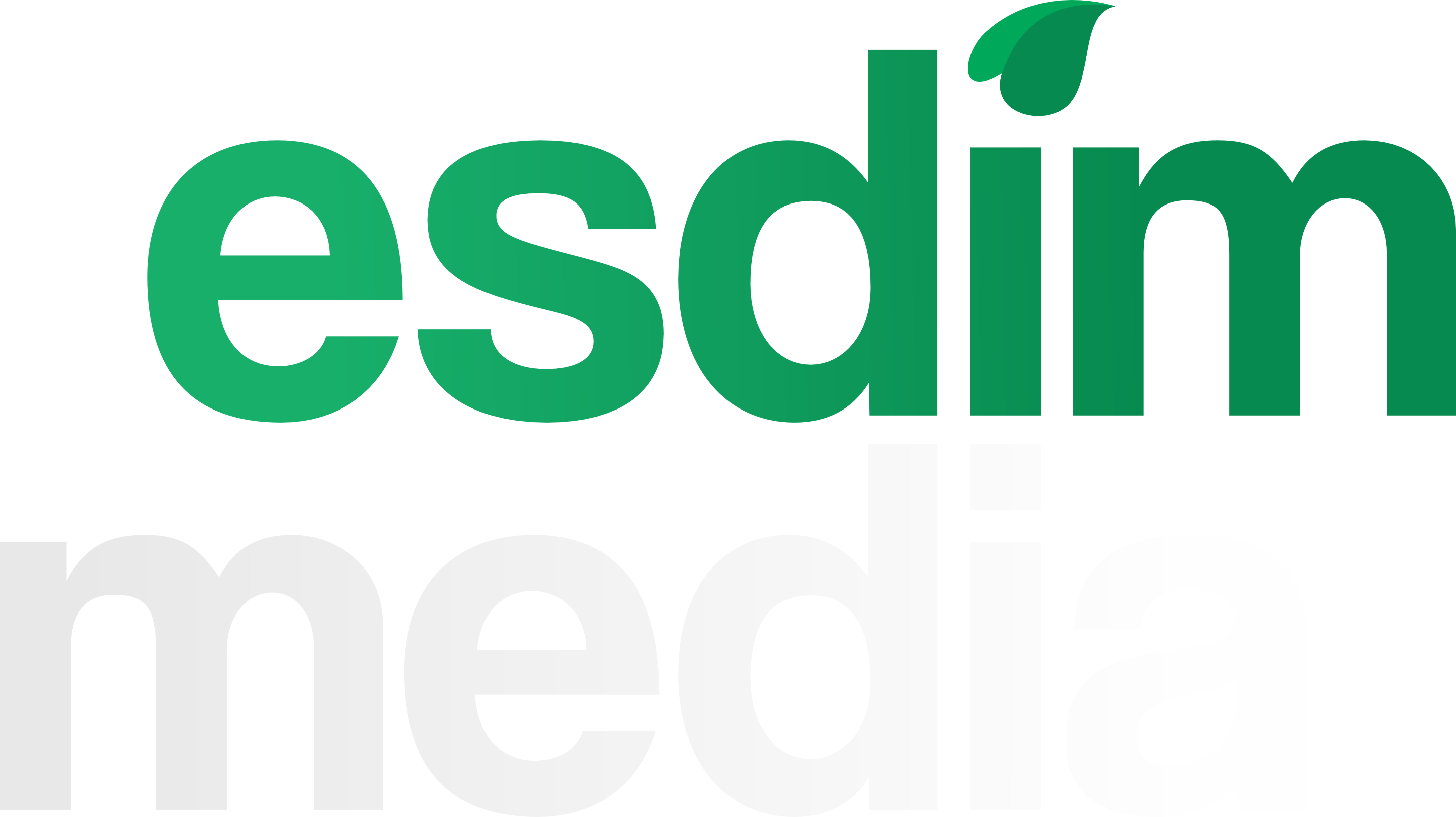 ESDIM Media